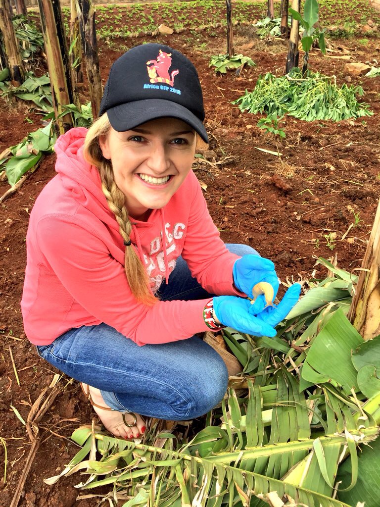 Slug pellet ban is forcing an era of innovation for farmers
