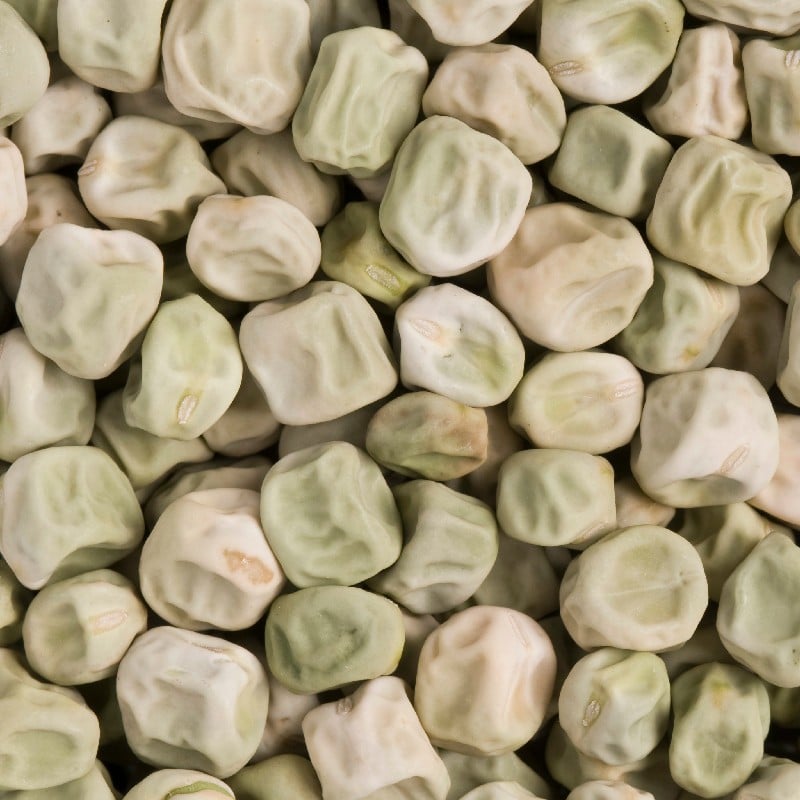 John Innes Centre researchers deliver plant-based solutions to major health problems