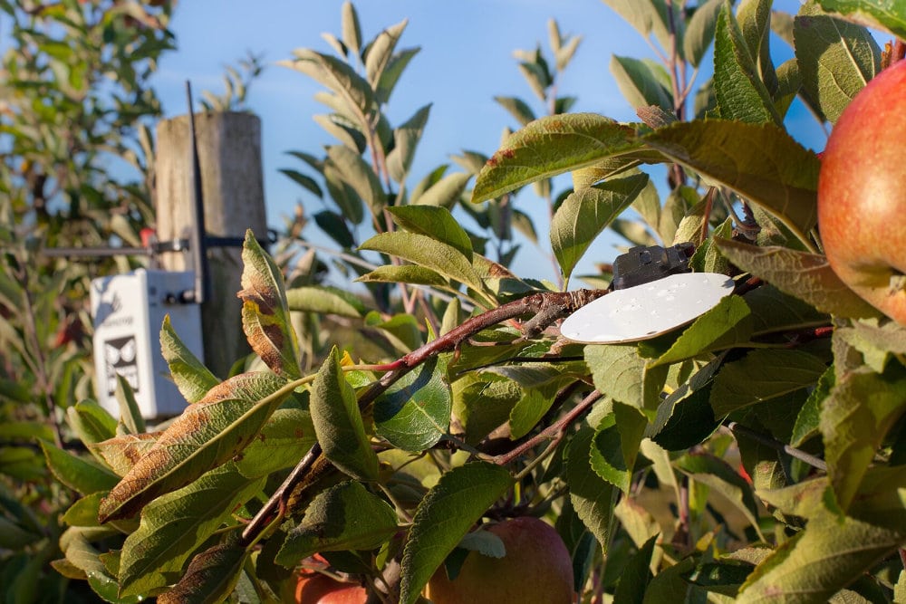 Sencrop’s next-gen vineyard sensor provides year-round frost and disease insight
