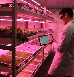 LettUs Grow partners with Octopus Energy to reduce energy costs for vertical farming
