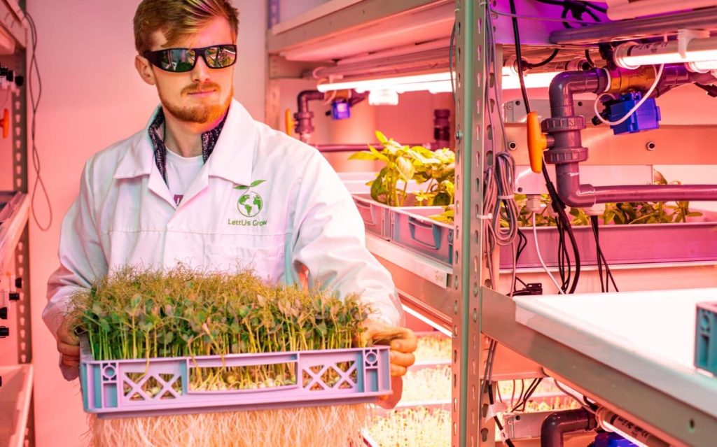 aeroponic container farm