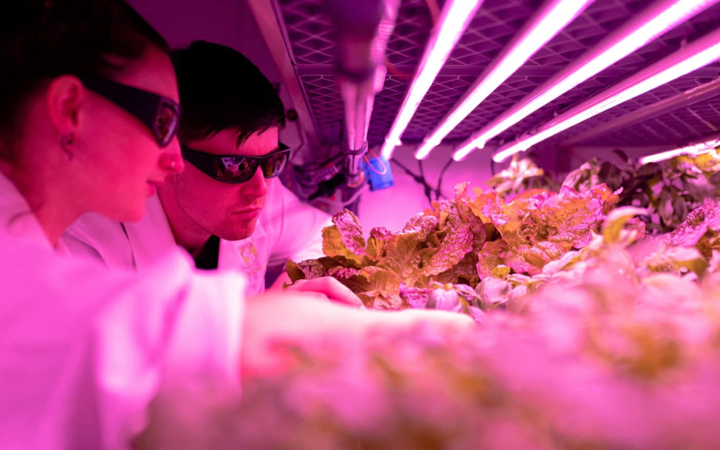 Controlling light in farming