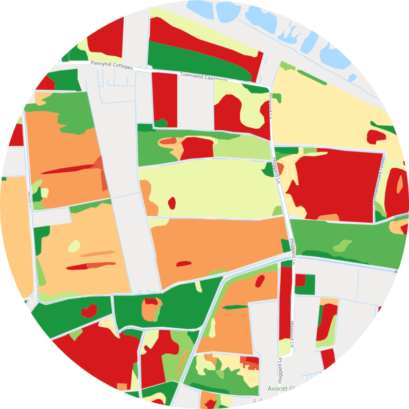 REAP 2020 Start-Up Showcase: Mantle Labs