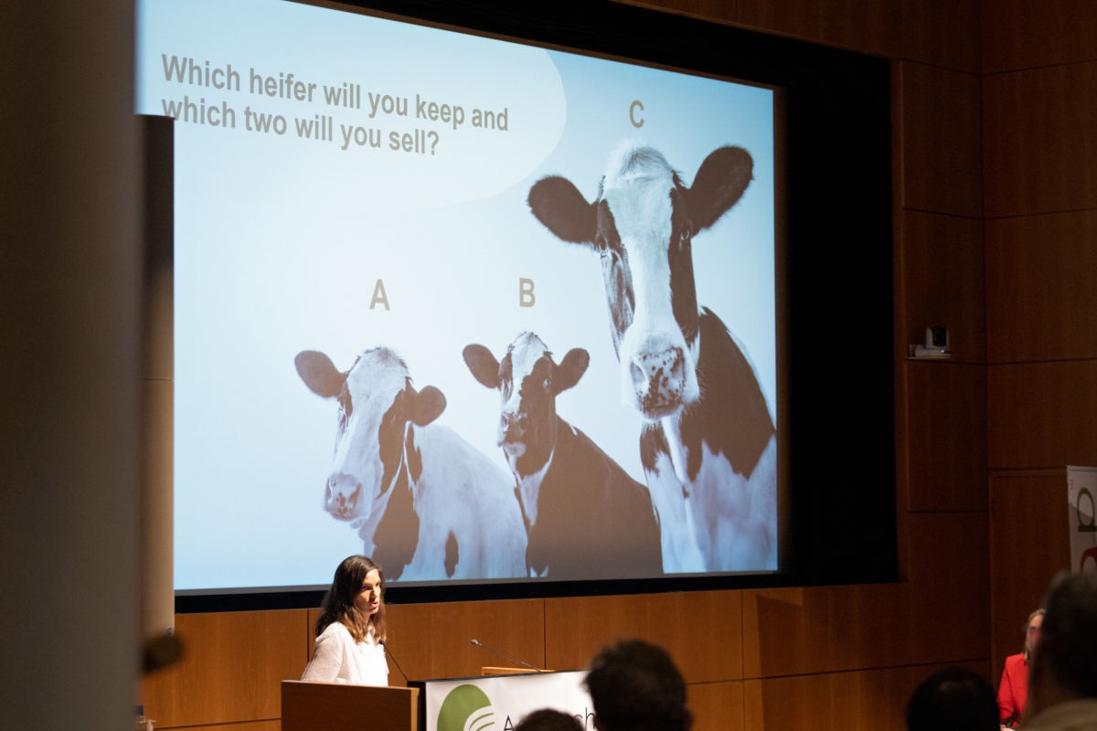 Same parents, different outcomes