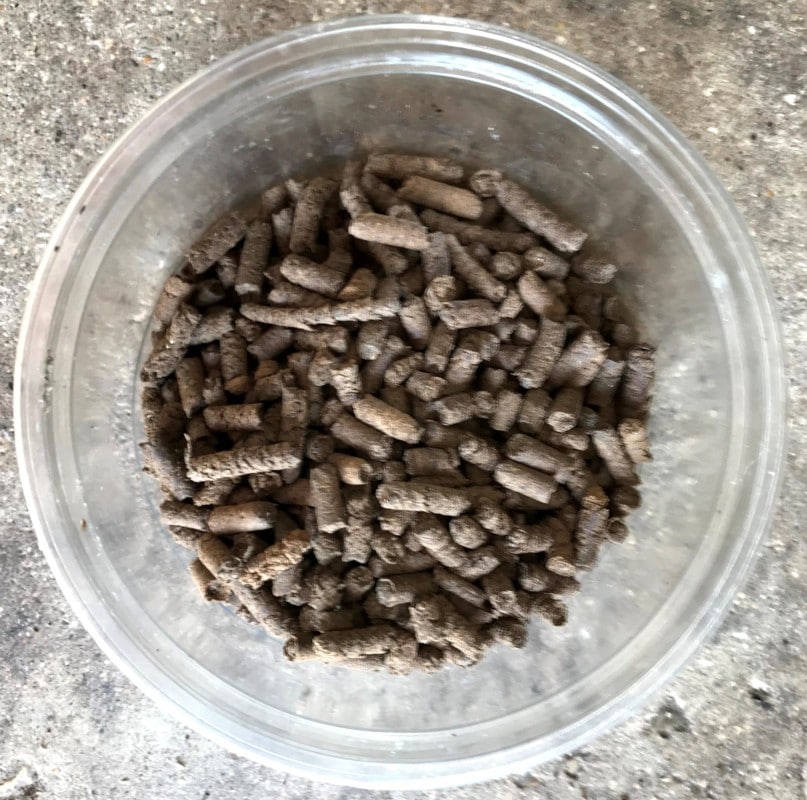 New bait spray from Microbiotech traps the fruit-fly before it spoils the strawberries