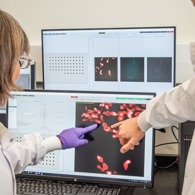 Is time up for blackgrass? MoA Techologies offers multifaceted attack on weeds