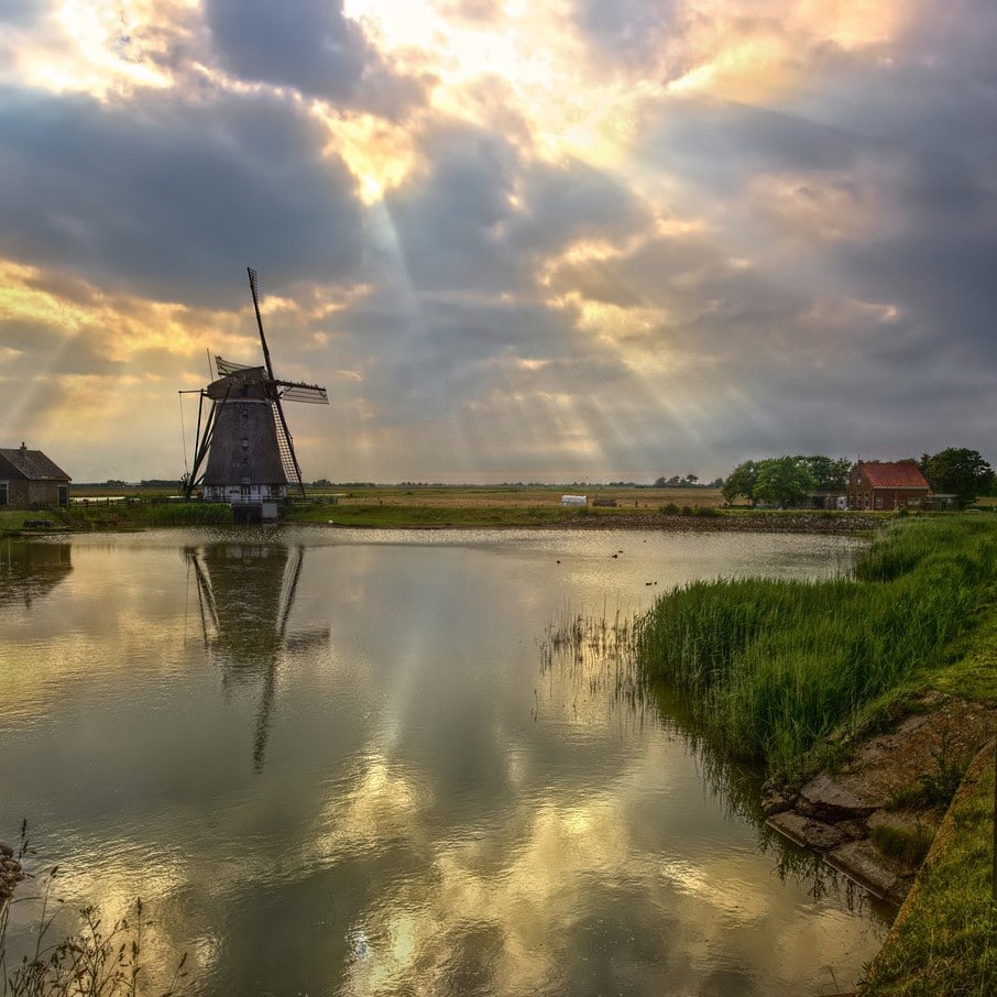 Oost NL in the International Café at REAP 2021