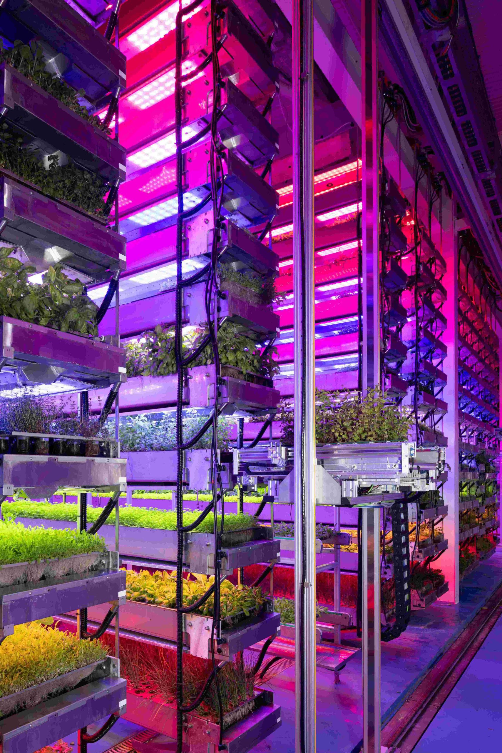 Vertical Future listed as the #1 Controlled-environment-agriculture technology company globally in the “FoodTech 500”