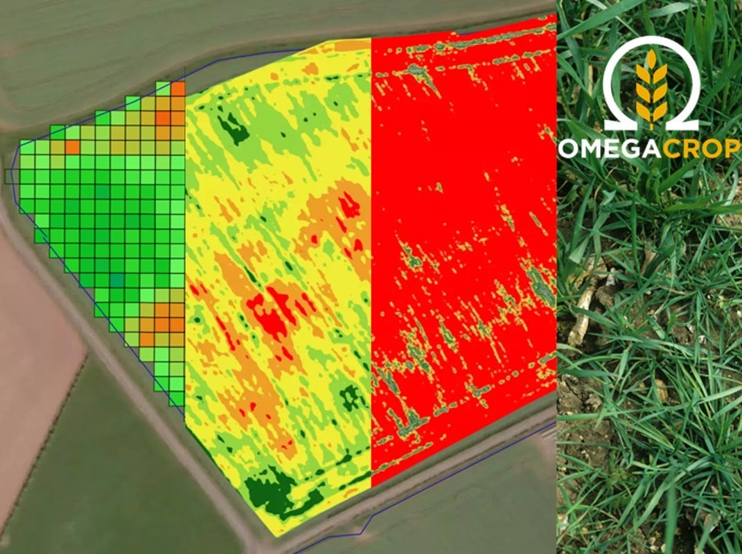 Preventing yield loss through real-time prediction and diagnosis
