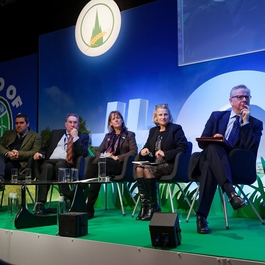 Debate continues about classification of gene editing