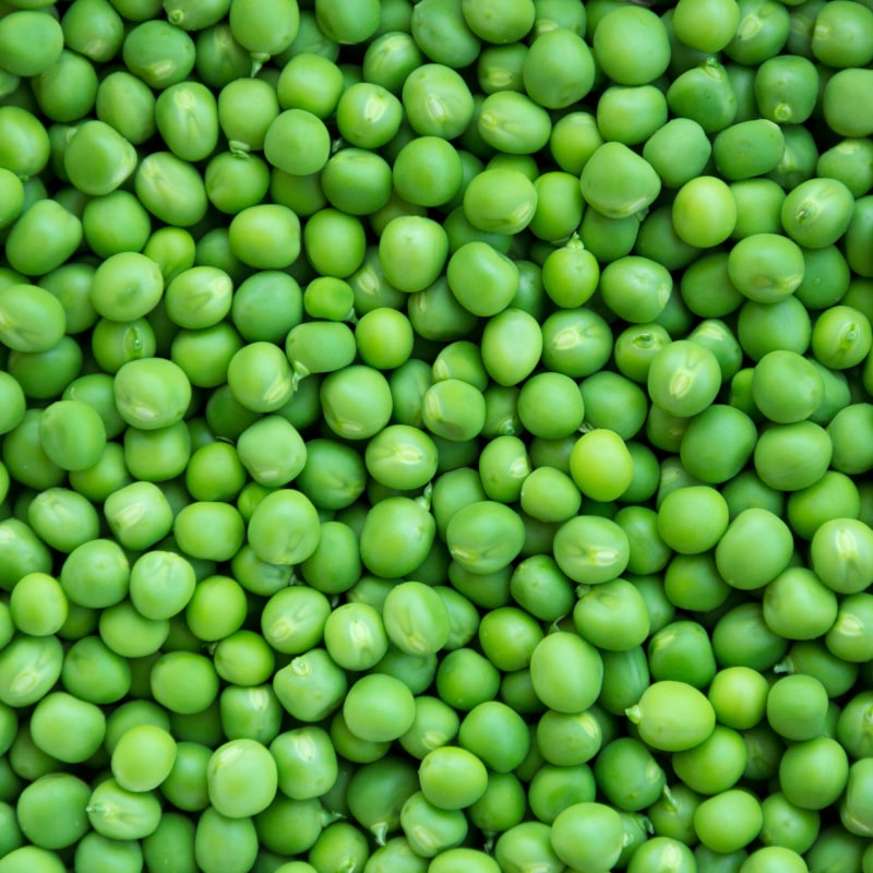 Call to Arms for Pea and Bean Yield Enhancement Networks