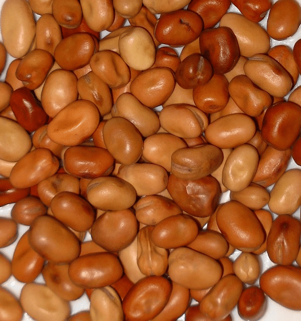 PGRO Comment on the Pulse Market