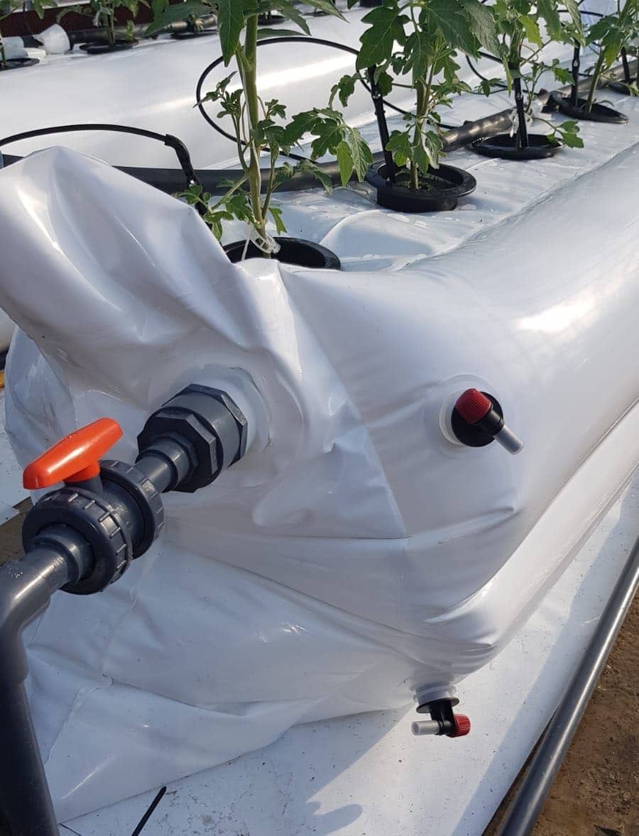 Phytoponics gains funding for hydroponic scale-up trials