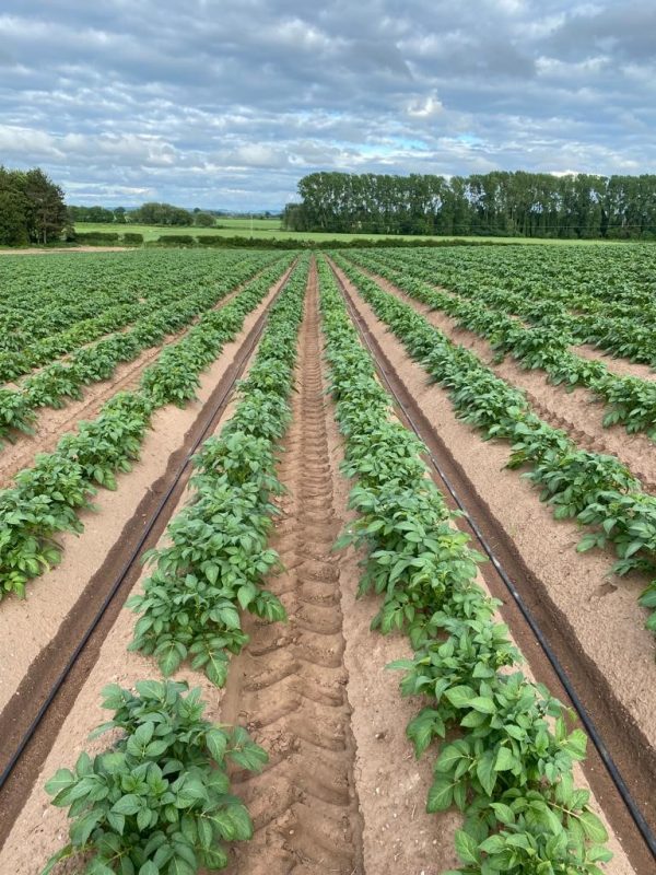 Promoting innovation in water management for agriculture