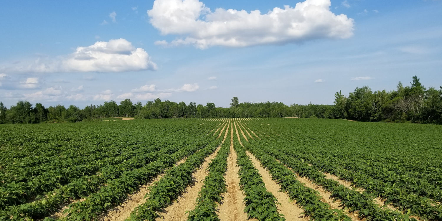 Farming Innovation Programme Overview