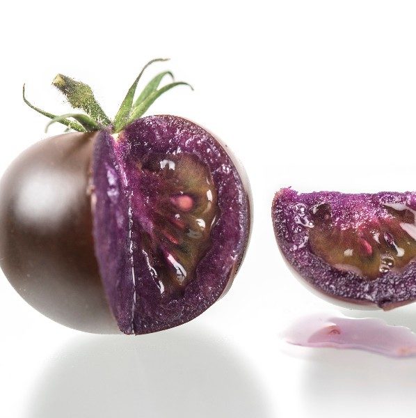 Gene editing consultation – what does it mean for agri-tech?