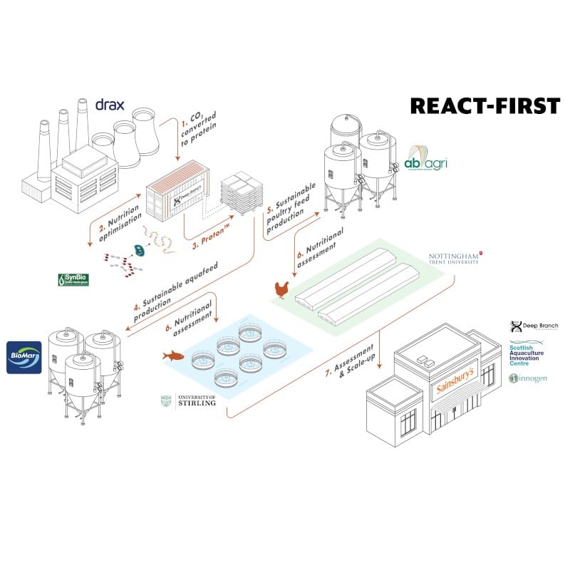 Deep Branch technology to create protein from waste gas in REACT-FIRST project