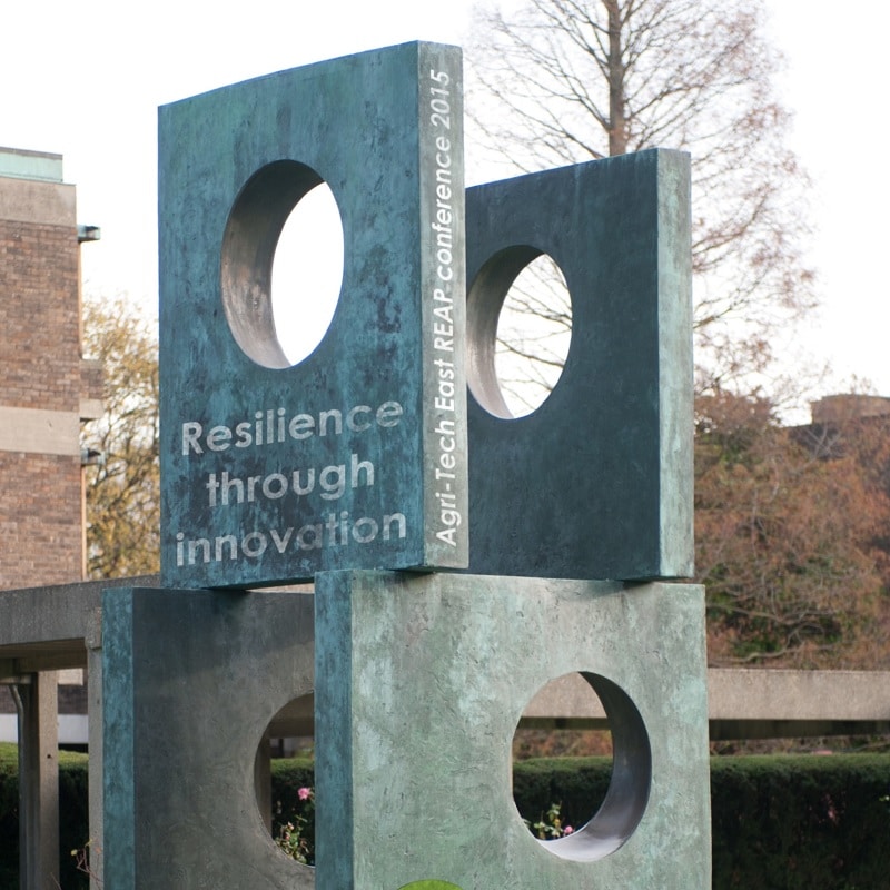 Resilience Through Innovation: REAP 2015 report