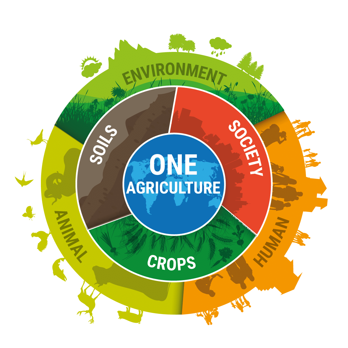 One Agriculture at REAP