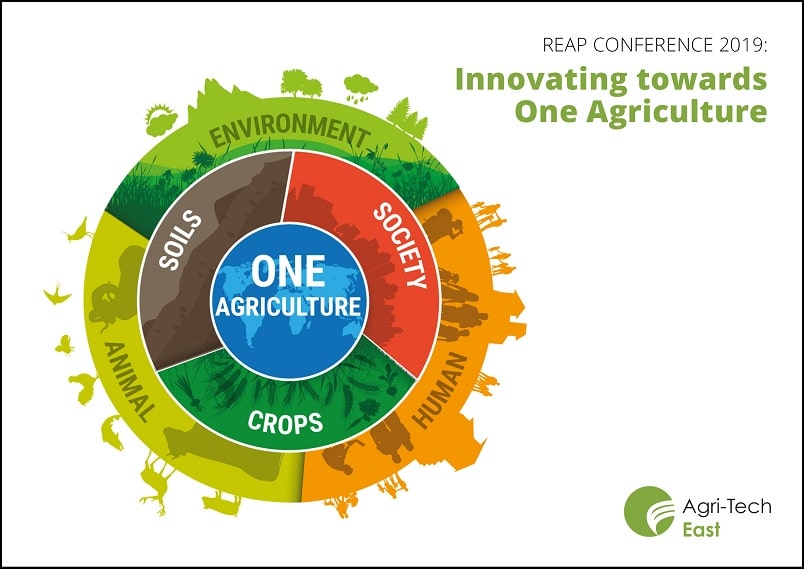 Reporting from REAP 2019