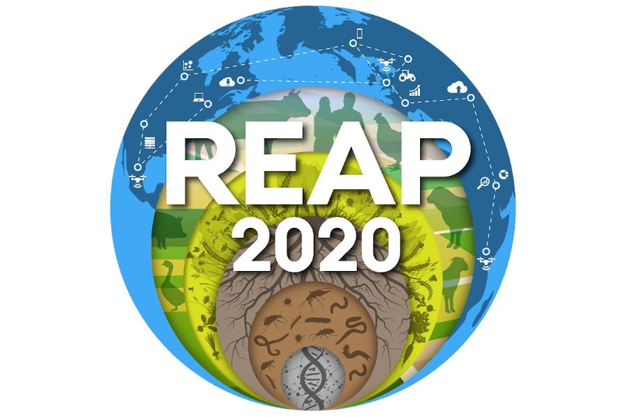 REAP 2020: From micro-scape to landscape – innovating at the frontier