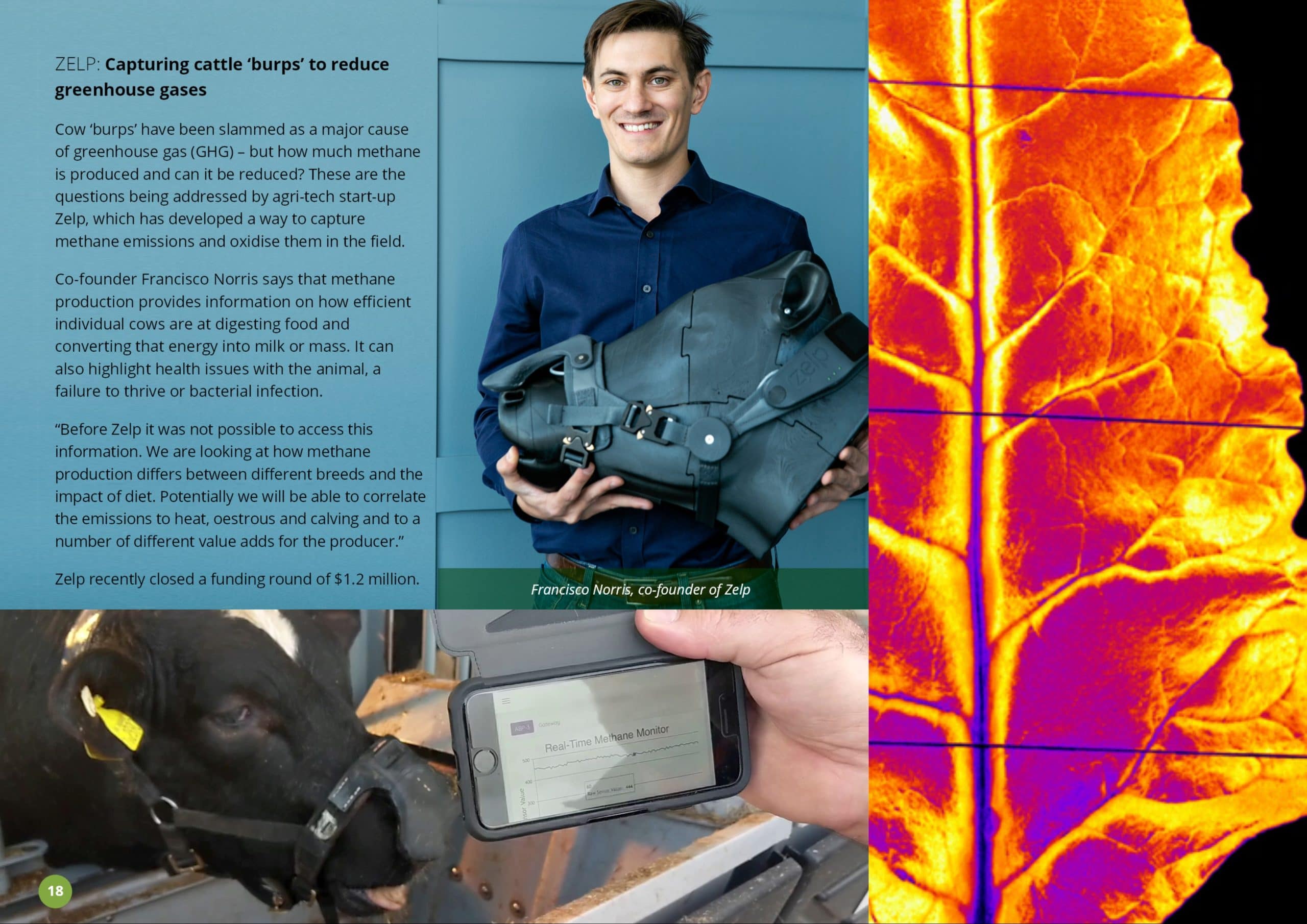 REAP Start-Up Showcase for farmer-centric agri-tech innovation