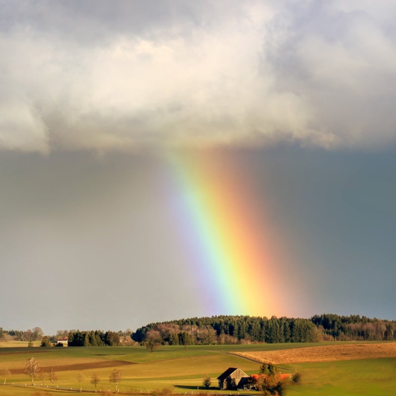 New AI modelling to mitigate risk for food production