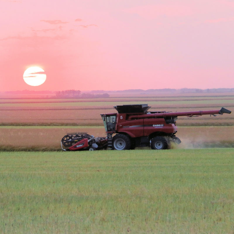 $485m in strategic initiatives to boost resilience of Saskatchewan agriculture