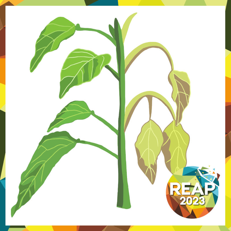 Resurrect-Bio-REAP-2023-Start-Up-feat