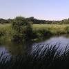 Protecting the River Wensum: land management can reduce runoff