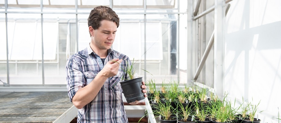Rothamsted’s new ‘early warning system’ finds blackgrass evolving resistance to glyphosate