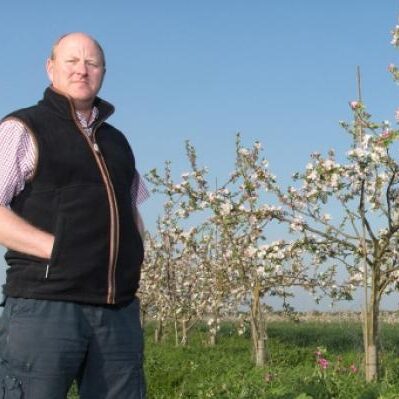 Fruit with your cereal: Is agroforestry profitable in the UK?