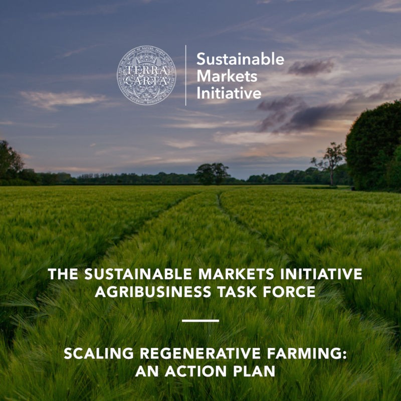 How can we scale regenerative farming?