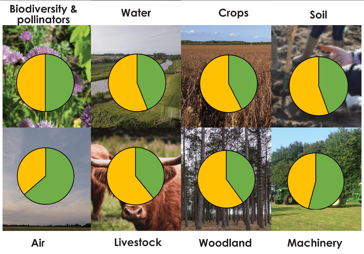 ELMs Workshop Output