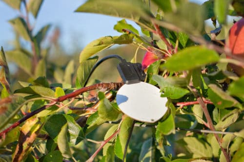 Weather firm Sencrop ranked by Crunchdex as ‘one to watch’