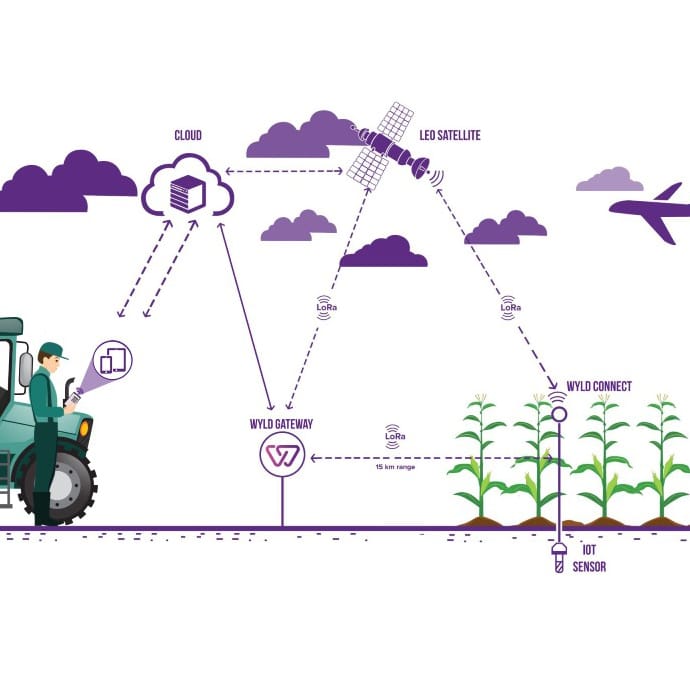 Connecting sensors anywhere – Wyld Networks to discuss the tech at REAP 2021