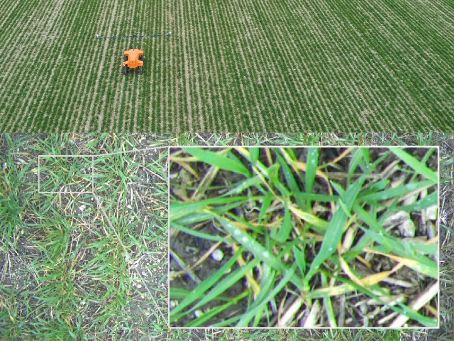 Personalising products and business model innovation key to driving farmer adoption of agri-tech