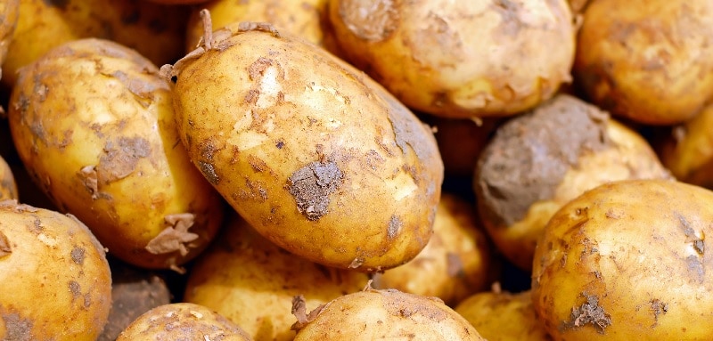 Smart-irrigation-becoming-more-attractive-option-for-spuds