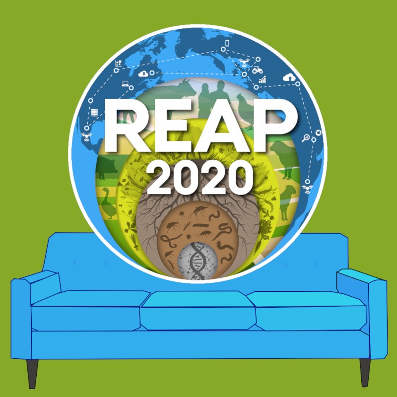 REAP 2020 Sofa Session – towards a technology roadmap