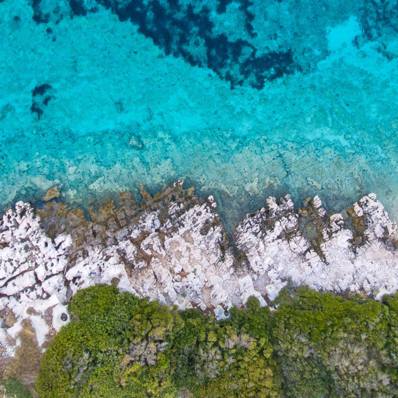 Task Force on Climate-related Financial Disclosures (TCFD)