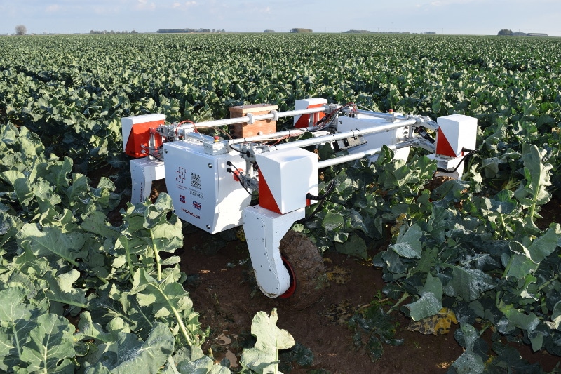 World’s first Centre for Doctoral Training in Agri-Food Robotics announced