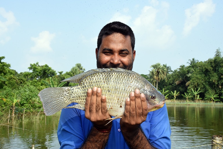 Earlham Institute is supporting aquaculture with new genomic resources