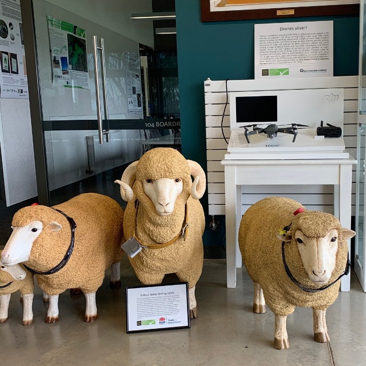 Trust, Traceability, and Terabytes in the Australian Agrifood System