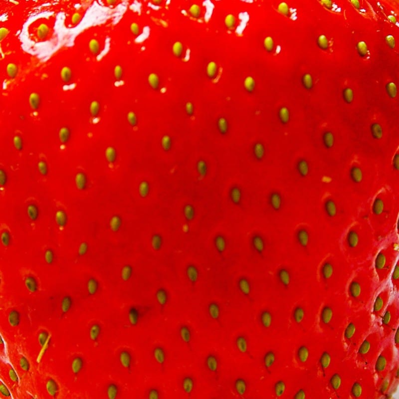 University-of-Essex-collaborates-with-Wilkin-Sons-using-IoT-and-Computer-Vision-to-boost-strawberry-crop