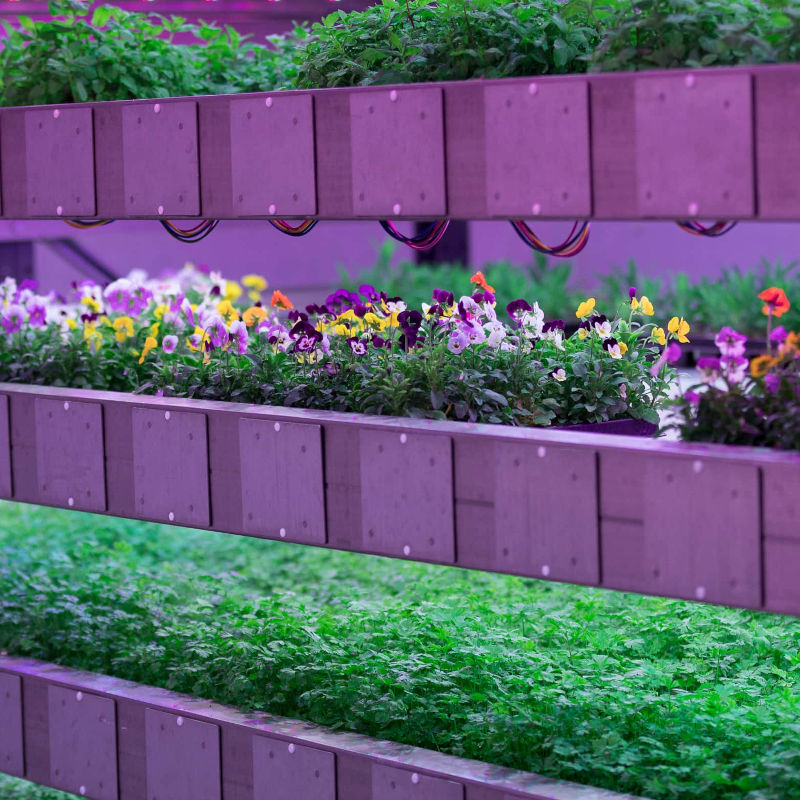 Industrial Horticulture is at a crossroads – new report urges expansion not decline