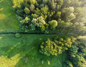 Wendling-Beck-@-Rush-Meadow-Credits-Alex-Sidney-scaled-1-300×233-1