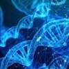 What is gene editing? Scientific community raises concerns over EU classification