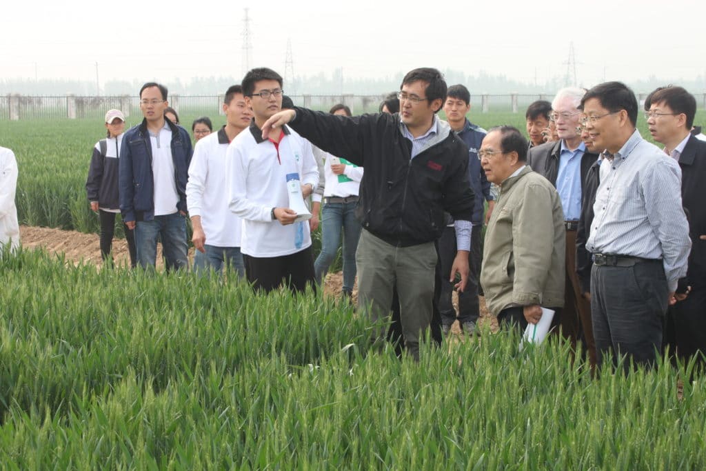 Increase yield by 10%, cut nitrogen by a fifth, make £9bn – find out how at REAP 2018