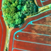 Ursula presents at REAP