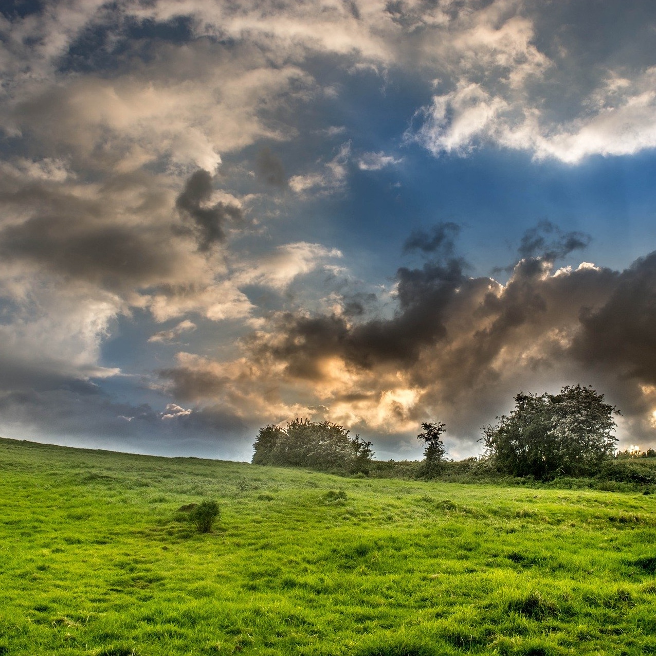 YAGRO launches new farm insurance delivering 30% savings